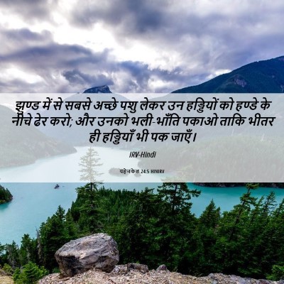 Picture 06 - यहेजकेल 24:5 HINIRV - झुण्ड में से सबसे - Bible Verse Picture