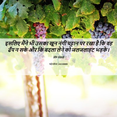 Picture 06 - यहेजकेल 24:8 HINIRV - इसलिए मैंने भी - Bible Verse Picture
