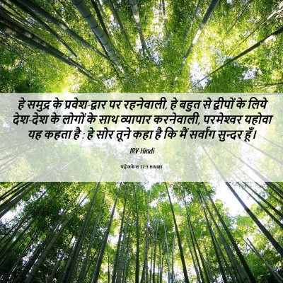 Picture 06 - यहेजकेल 27:3 HINIRV - हे समुद्र के - Bible Verse Picture