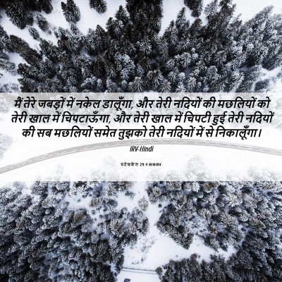 Picture 06 - यहेजकेल 29:4 HINIRV - मैं तेरे जबड़ों - Bible Verse Picture