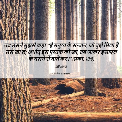 Picture 06 - यहेजकेल 3:1 HINIRV - तब उसने मुझसे कहा, - Bible Verse Picture