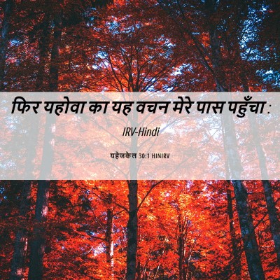 Picture 06 - यहेजकेल 30:1 HINIRV - फिर यहोवा का यह वचन - Bible Verse Picture