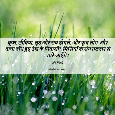 Picture 06 - यहेजकेल 30:5 HINIRV - कूश, लीबिया, लूद और - Bible Verse Picture