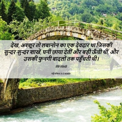 Picture 06 - यहेजकेल 31:3 HINIRV - देख, अश्शूर तो - Bible Verse Picture