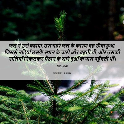 Picture 06 - यहेजकेल 31:4 HINIRV - जल ने उसे बढ़ाया, - Bible Verse Picture