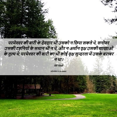 Picture 06 - यहेजकेल 31:8 HINIRV - परमेश्‍वर की बारी - Bible Verse Picture