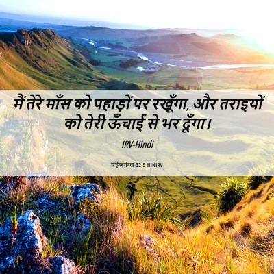 Picture 06 - यहेजकेल 32:5 HINIRV - मैं तेरे माँस को - Bible Verse Picture