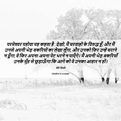 Picture 06 - यहेजकेल 34:10 HINIRV - परमेश्‍वर यहोवा - Bible Verse Picture