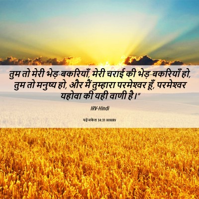 Picture 06 - यहेजकेल 34:31 HINIRV - तुम तो मेरी - Bible Verse Picture
