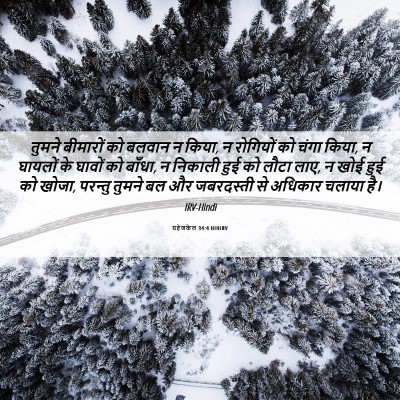 Picture 06 - यहेजकेल 34:4 HINIRV - तुमने बीमारों को - Bible Verse Picture