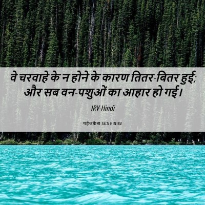 Picture 06 - यहेजकेल 34:5 HINIRV - वे चरवाहे के न होने - Bible Verse Picture