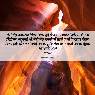 Picture 06 - यहेजकेल 34:6 HINIRV - मेरी भेड़-बकरियाँ - Bible Verse Picture