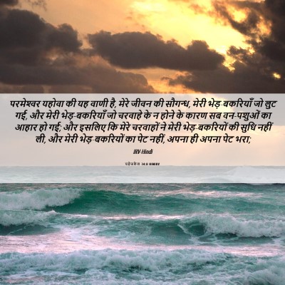 Picture 06 - यहेजकेल 34:8 HINIRV - परमेश्‍वर यहोवा - Bible Verse Picture