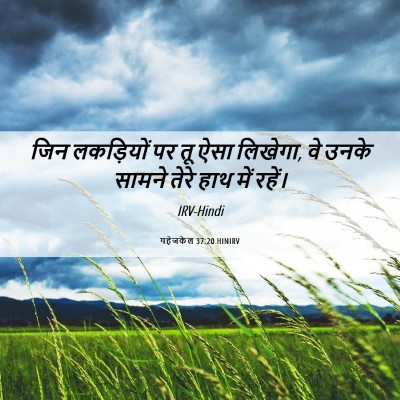 Picture 06 - यहेजकेल 37:20 HINIRV - जिन लकड़ियों पर तू - Bible Verse Picture