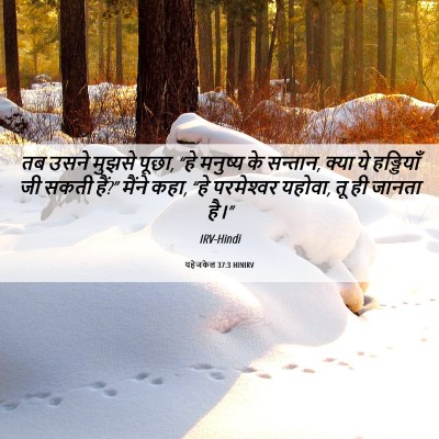 Picture 06 - यहेजकेल 37:3 HINIRV - तब उसने मुझसे पूछा, - Bible Verse Picture