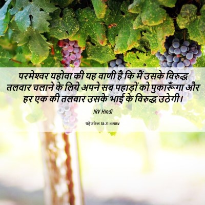 Picture 06 - यहेजकेल 38:21 HINIRV - परमेश्‍वर यहोवा - Bible Verse Picture