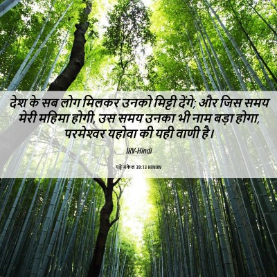 Picture 06 - यहेजकेल 39:13 HINIRV - देश के सब लोग मिलकर - Bible Verse Picture