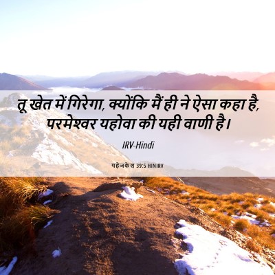 Picture 06 - यहेजकेल 39:5 HINIRV - तू खेत में गिरेगा, - Bible Verse Picture