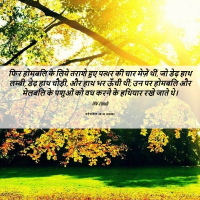 Picture 06 - यहेजकेल 40:42 HINIRV - फिर होमबलि के लिये - Bible Verse Picture