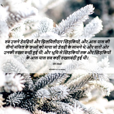Picture 06 - यहेजकेल 41:16 HINIRV - तब उसने डेवढ़ियों - Bible Verse Picture
