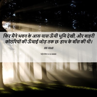 Picture 06 - यहेजकेल 41:8 HINIRV - फिर मैंने भवन के - Bible Verse Picture