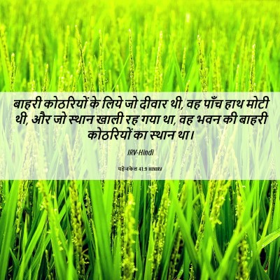 Picture 06 - यहेजकेल 41:9 HINIRV - बाहरी कोठरियों के - Bible Verse Picture