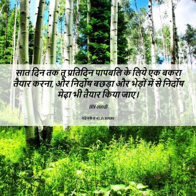 Picture 06 - यहेजकेल 43:25 HINIRV - सात दिन तक तू - Bible Verse Picture