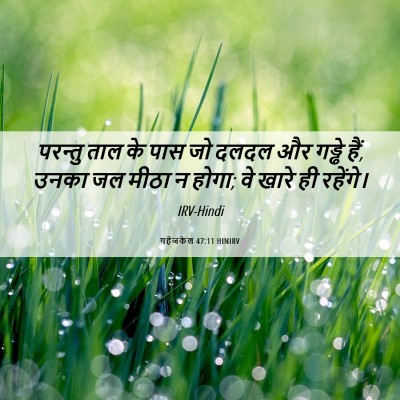 Picture 06 - यहेजकेल 47:11 HINIRV - परन्तु ताल के पास - Bible Verse Picture