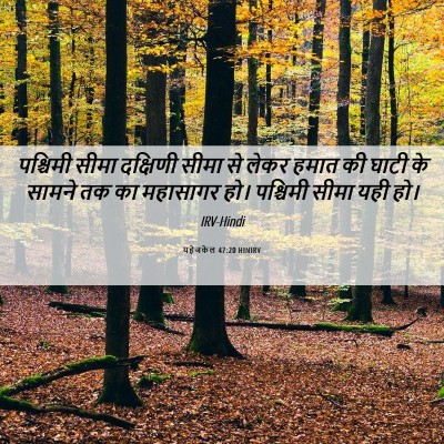 Picture 06 - यहेजकेल 47:20 HINIRV - पश्चिमी सीमा - Bible Verse Picture