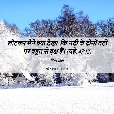 Picture 06 - यहेजकेल 47:7 HINIRV - लौटकर मैंने क्या - Bible Verse Picture