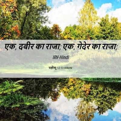 Picture 06 - यहोशू 12:13 HINIRV - एक, दबीर का राजा; एक, - Bible Verse Picture