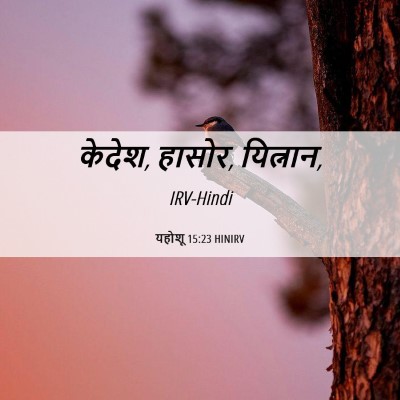 Picture 06 - यहोशू 15:23 HINIRV - केदेश, हासोर, - Bible Verse Picture