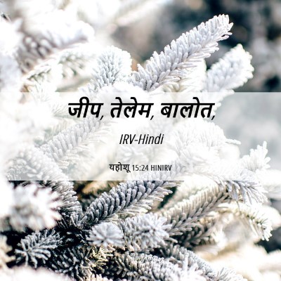 Picture 06 - यहोशू 15:24 HINIRV - जीप, तेलेम, - Bible Verse Picture