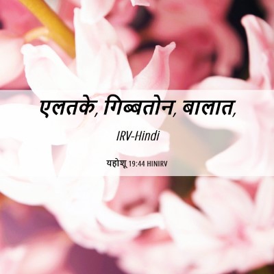 Picture 06 - यहोशू 19:44 HINIRV - एलतके, गिब्बतोन, - Bible Verse Picture