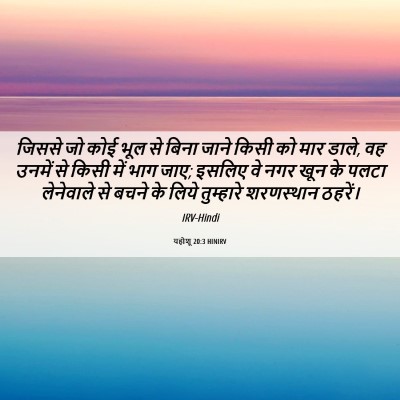 Picture 06 - यहोशू 20:3 HINIRV - जिससे जो कोई भूल से - Bible Verse Picture