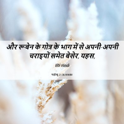 Picture 06 - यहोशू 21:36 HINIRV - और रूबेन के गोत्र - Bible Verse Picture