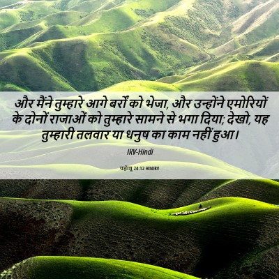 Picture 06 - यहोशू 24:12 HINIRV - और मैंने तुम्हारे - Bible Verse Picture