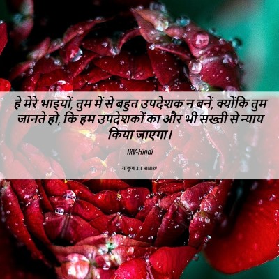 Picture 06 - याकूब 3:1 HINIRV - हे मेरे भाइयों, तुम - Bible Verse Picture