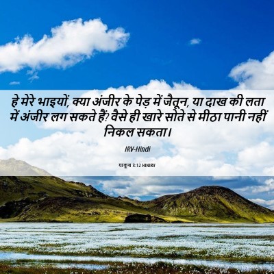 Picture 06 - याकूब 3:12 HINIRV - हे मेरे भाइयों, - Bible Verse Picture