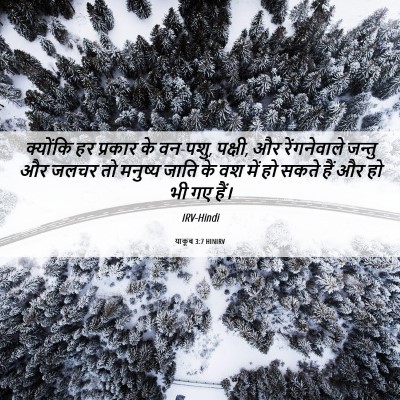 Picture 06 - याकूब 3:7 HINIRV - क्योंकि हर प्रकार - Bible Verse Picture