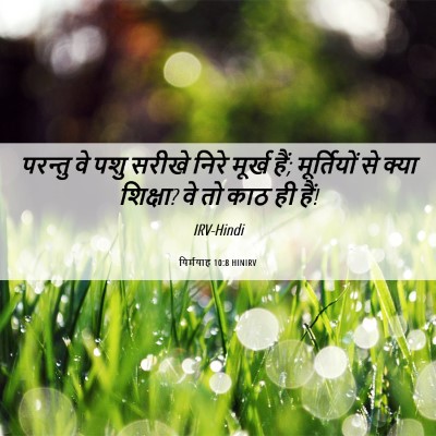 Picture 06 - यिर्मयाह 10:8 HINIRV - परन्तु वे पशु - Bible Verse Picture