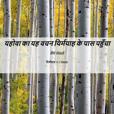 Picture 06 - यिर्मयाह 11:1 HINIRV - यहोवा का यह वचन - Bible Verse Picture