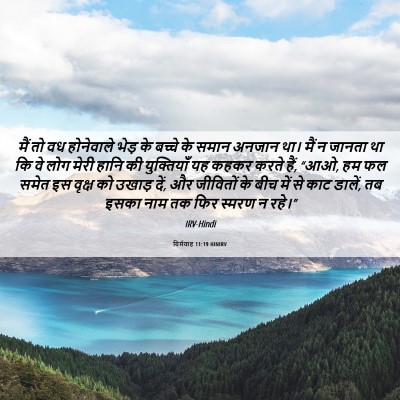 Picture 06 - यिर्मयाह 11:19 HINIRV - मैं तो वध होनेवाले - Bible Verse Picture