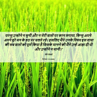 Picture 06 - यिर्मयाह 11:8 HINIRV - परन्तु उन्होंने न - Bible Verse Picture