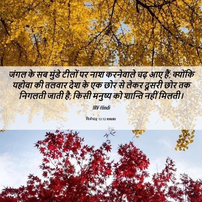 Picture 06 - यिर्मयाह 12:12 HINIRV - जंगल के सब मुंडे - Bible Verse Picture
