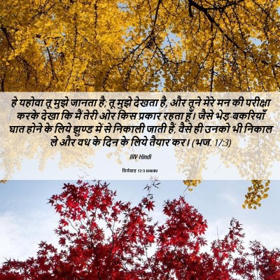 Picture 06 - यिर्मयाह 12:3 HINIRV - हे यहोवा तू मुझे - Bible Verse Picture