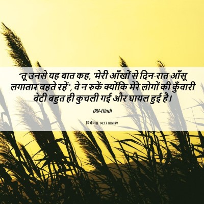 Picture 06 - यिर्मयाह 14:17 HINIRV - “तू उनसे यह बात कह, - Bible Verse Picture