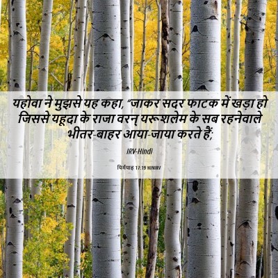 Picture 06 - यिर्मयाह 17:19 HINIRV - यहोवा ने मुझसे यह - Bible Verse Picture