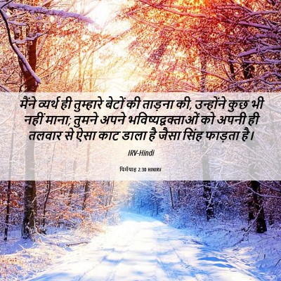Picture 06 - यिर्मयाह 2:30 HINIRV - मैंने व्यर्थ ही - Bible Verse Picture