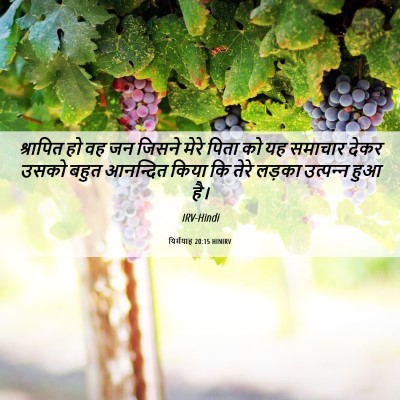 Picture 06 - यिर्मयाह 20:15 HINIRV - श्रापित हो वह जन - Bible Verse Picture